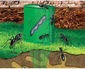 Terro T1812 bait stakes placed along a perimeter to deter ants at entry points