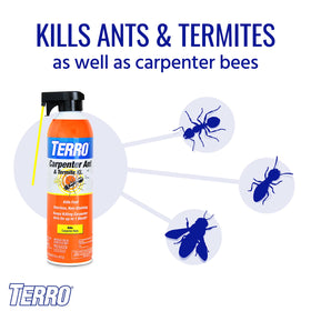Terro T1901-6 aerosol spray controls carpenter bees on exterior wood surfaces.