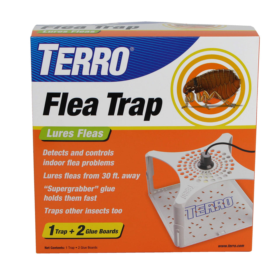 Terro T230 indoor flea trap front view for discreet home placement and active flea lure.