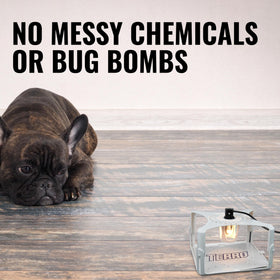 Terro T230 low-profile trap blends with furniture and carpets.