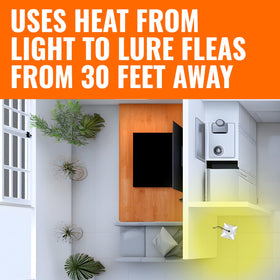 Terro T230 plug-in operation demonstrates simple, quick setup for indoors use.