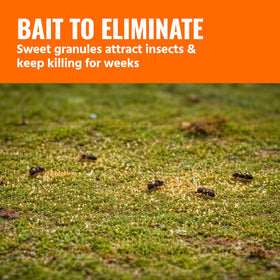 TERRO T2600 bait targets cockroaches, crickets and silverfish outdoors.