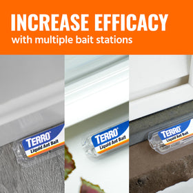 Terro T300-3SR ant activity reduction after bait use in indoor settings