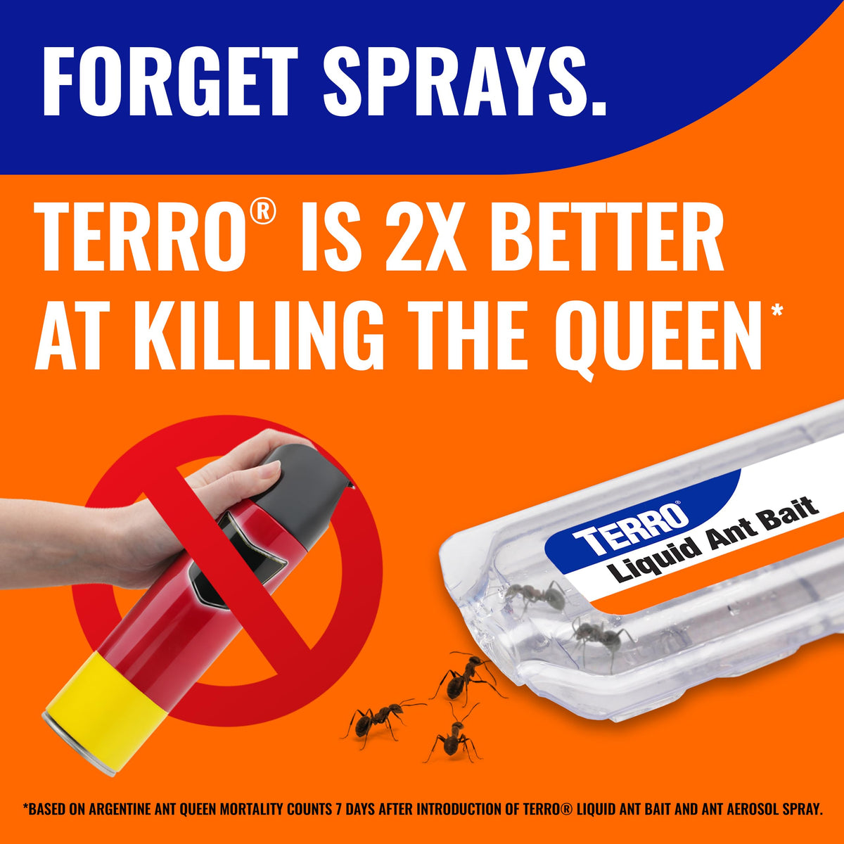 Terro T300-3SR bait station closeup illustrating effective indoor ant targeting and colony impact