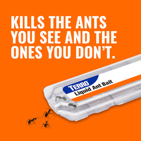 Terro T300-3SR countertop placement highlighting convenient ant control near busy kitchen areas