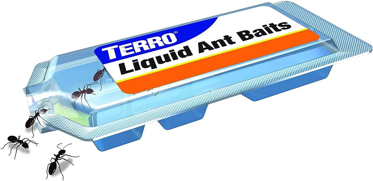 Terro T300 ant bait dispersion action with foragers sharing bait.