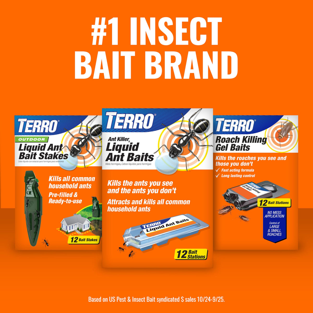 Terro T300B living room placement reduces visible ants.