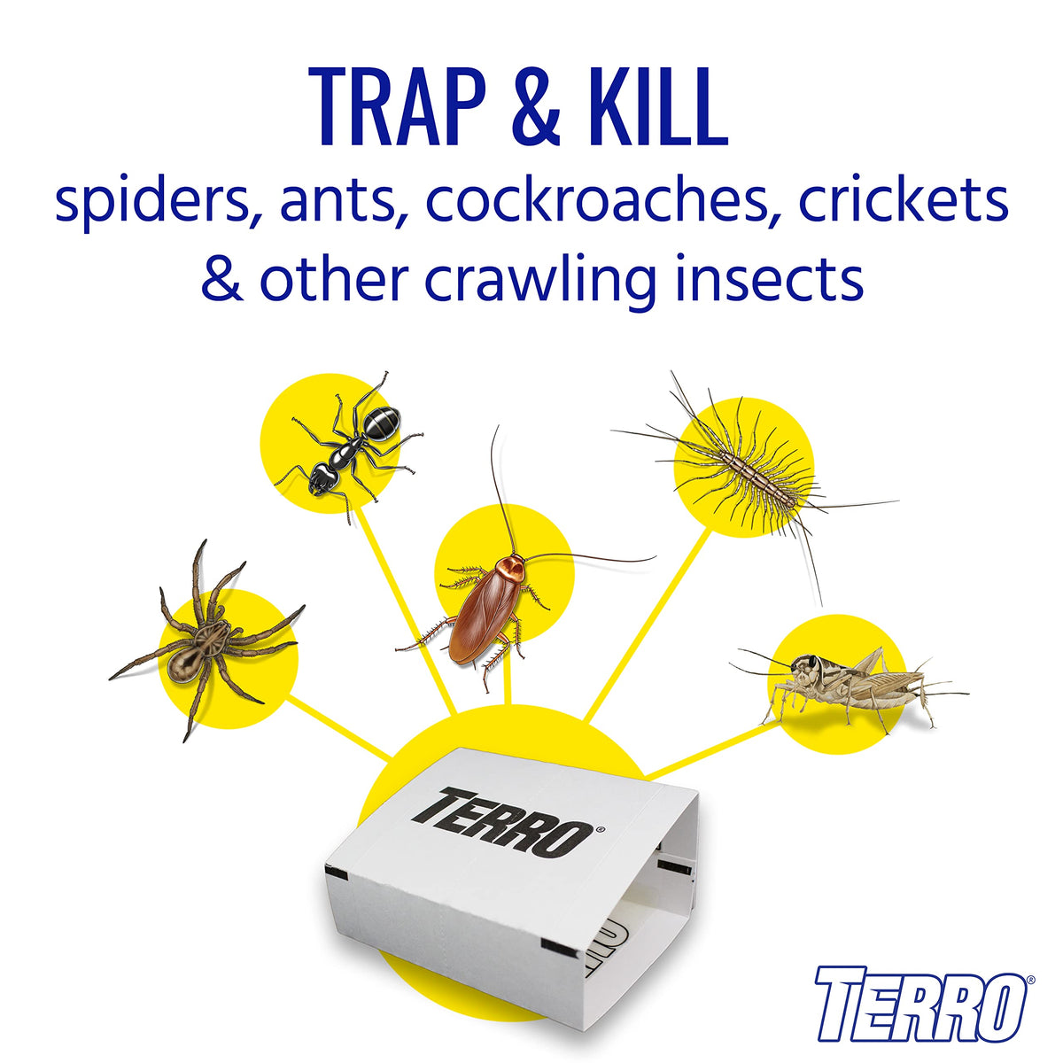Terro T3206SR folded trap demonstrates safe concealment of trapped insects.
