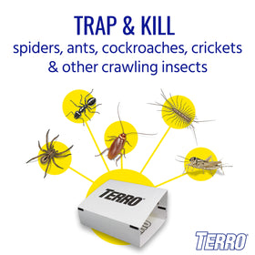 Terro T3206SR folded trap demonstrates safe concealment of trapped insects.