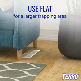 Terro T3206SR four-traps-per-package offers multi-room protection.