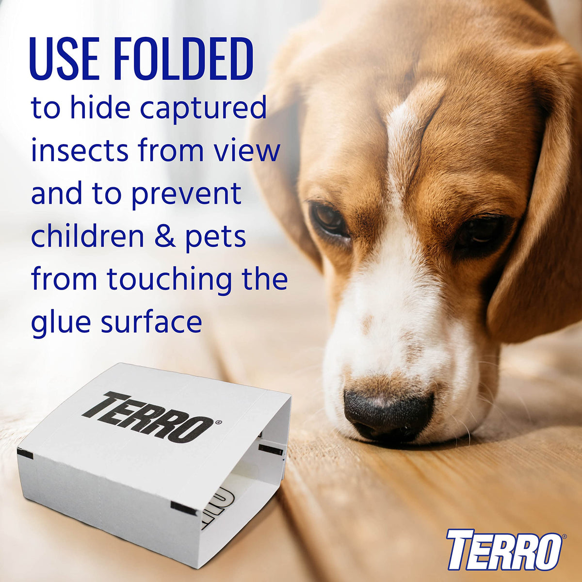 Terro T3206SR spider and insect trap helps protect living areas.