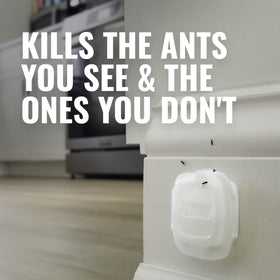 TERRO T334SR white bait station blends into light interiors.