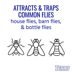Terro T380 diamond lid design attracts more flies in daylight