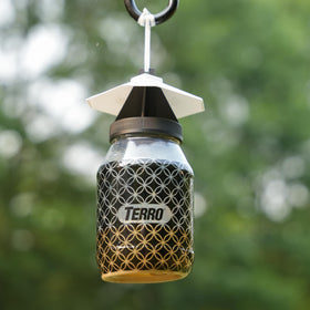 Terro T380 patented non-poisonous bait targets flies safely