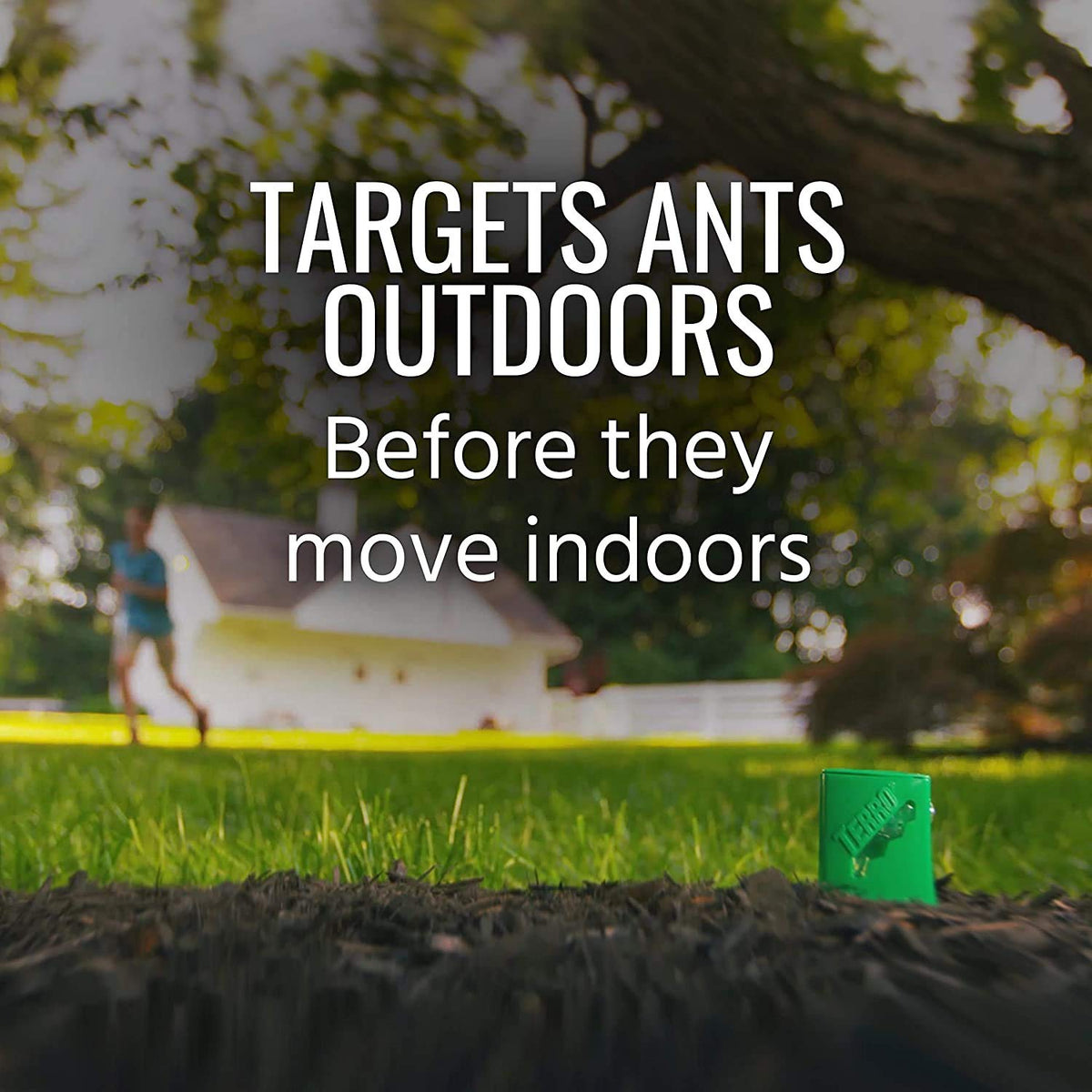 Woodstream Terro outdoor setup along yard perimeter targets ant activity effectively.