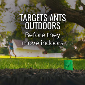 Woodstream Terro outdoor setup along yard perimeter targets ant activity effectively.