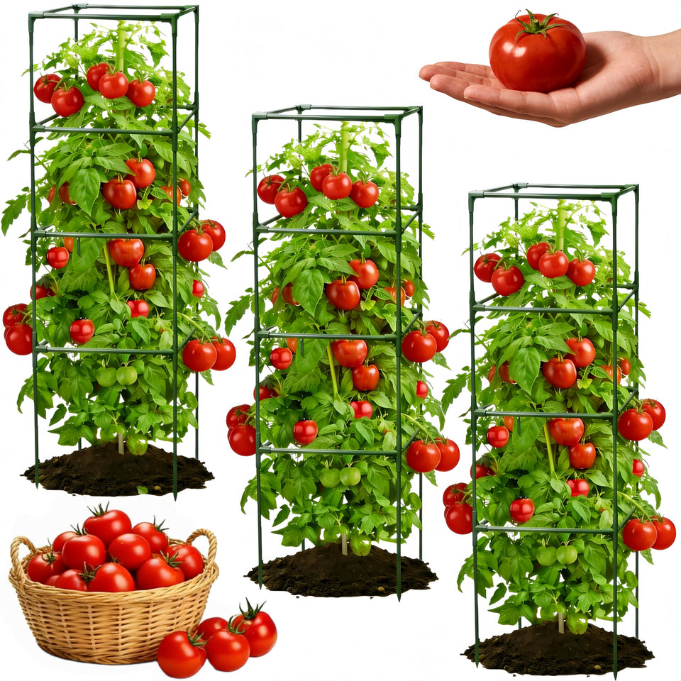 TESSTSY 3-pack square tomato cages provide sturdy vertical support for tall plants.