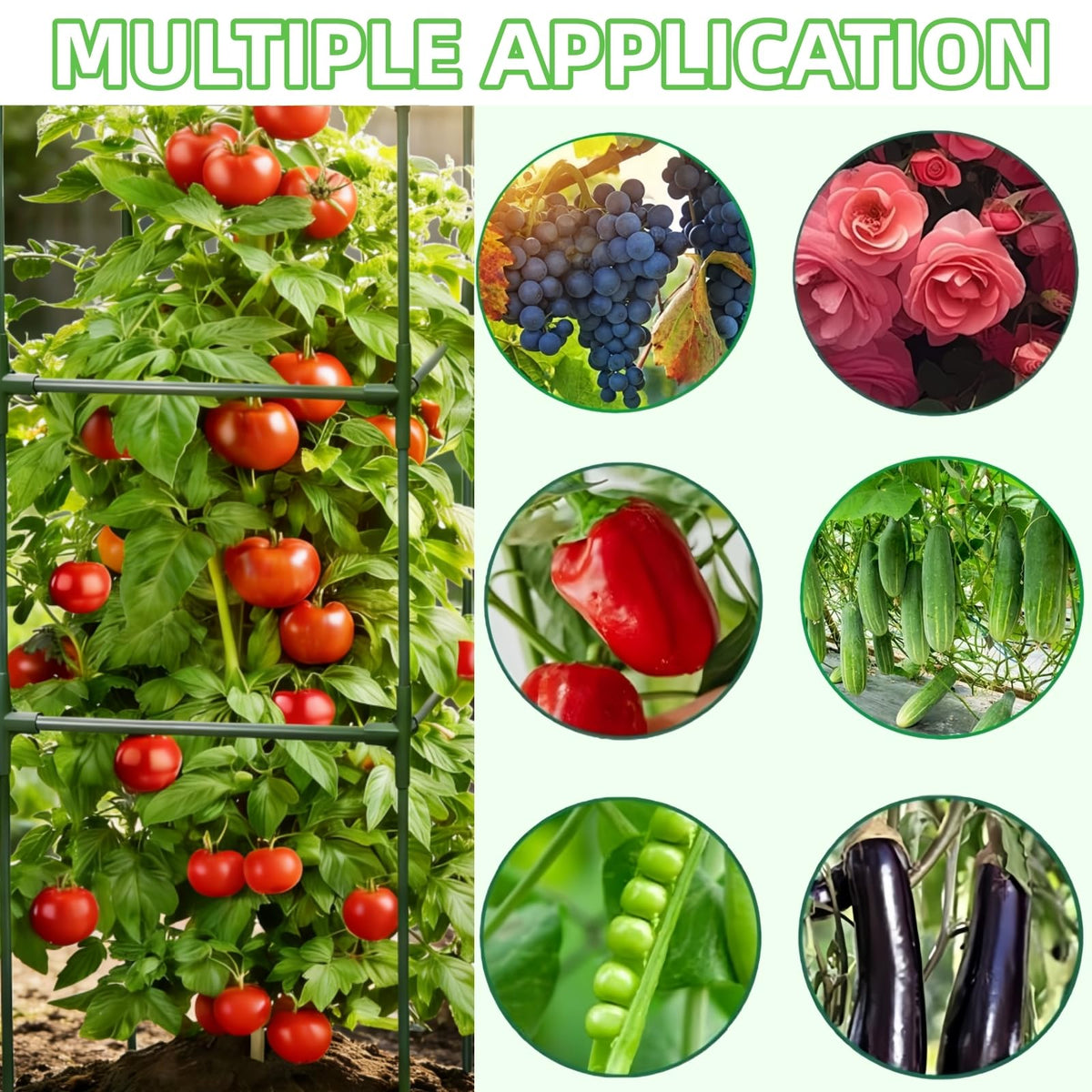 TESSTSY durable metal support system keeps outdoor plants upright through the growing season.