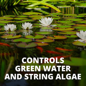 Applying AlgaeControl to a decorative fountain setup.