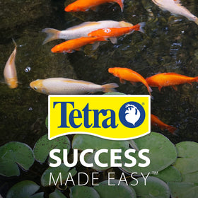 Safe use around ornamental plants and fish when used as directed.
