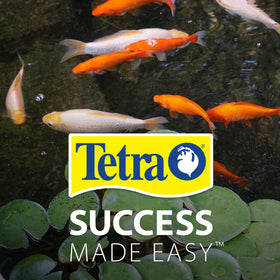 TetraPond Fountain Block bloom-control helps keep fish displays clear.