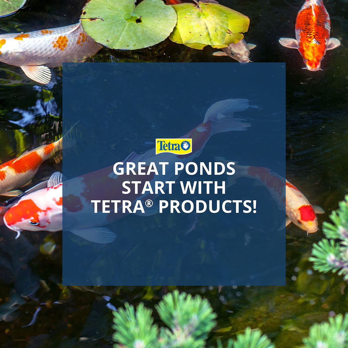 TetraPond UL-listed pump with a 3-year warranty for reliability.