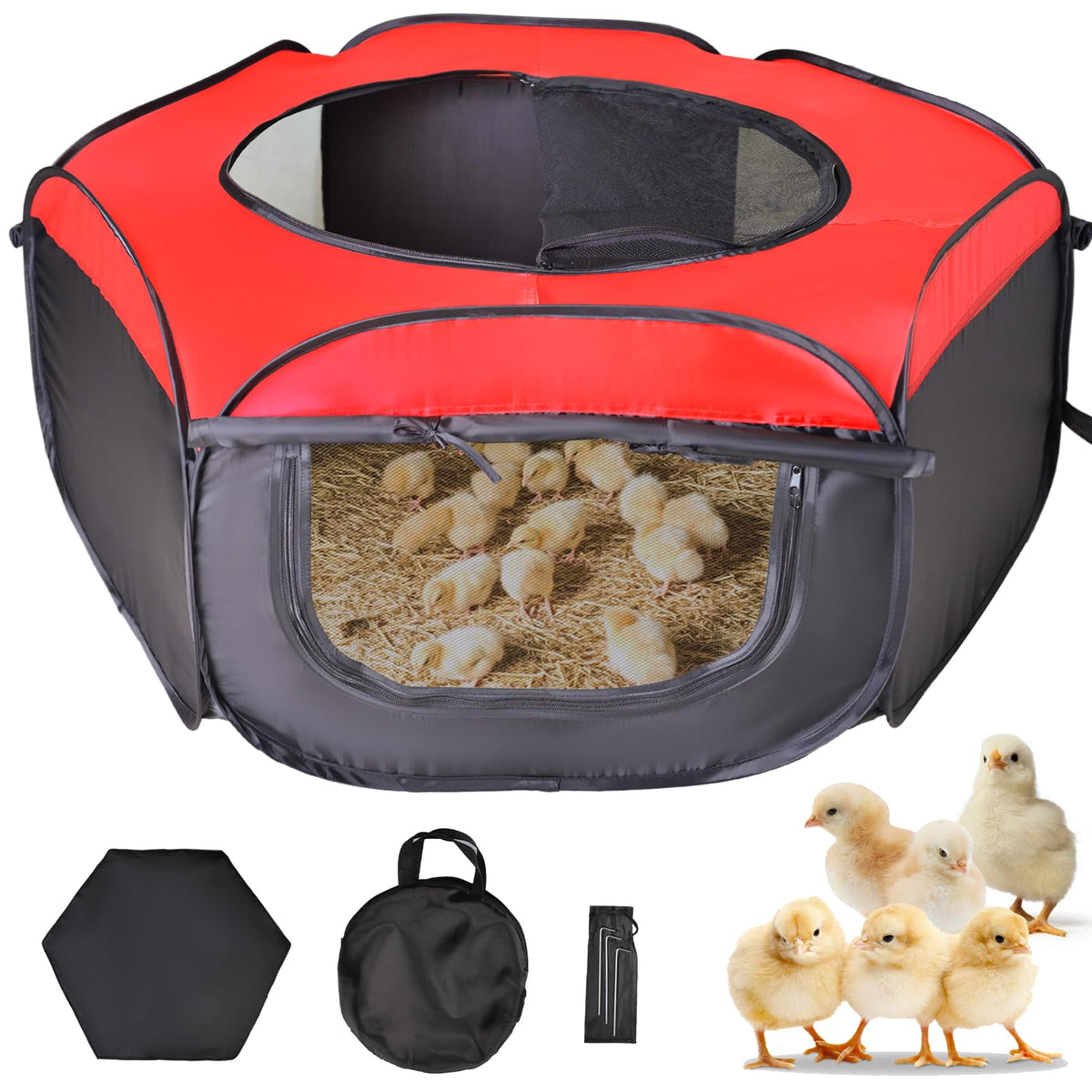 Tetuga brooder box front view with chick starter kit for safe early-life housing