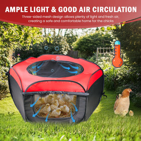 Tetuga brooder box outdoors with warm curtains for chilly protection