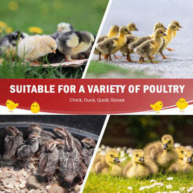 Tetuga versatile brooder suitable for chicks, ducklings, goslings and small pets