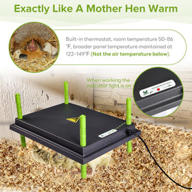 Tetuga Chick Heating Plate 30W energy efficient warmth with safe design