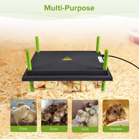 Tetuga Chick Heating Plate no-light design supports undisturbed chick sleep