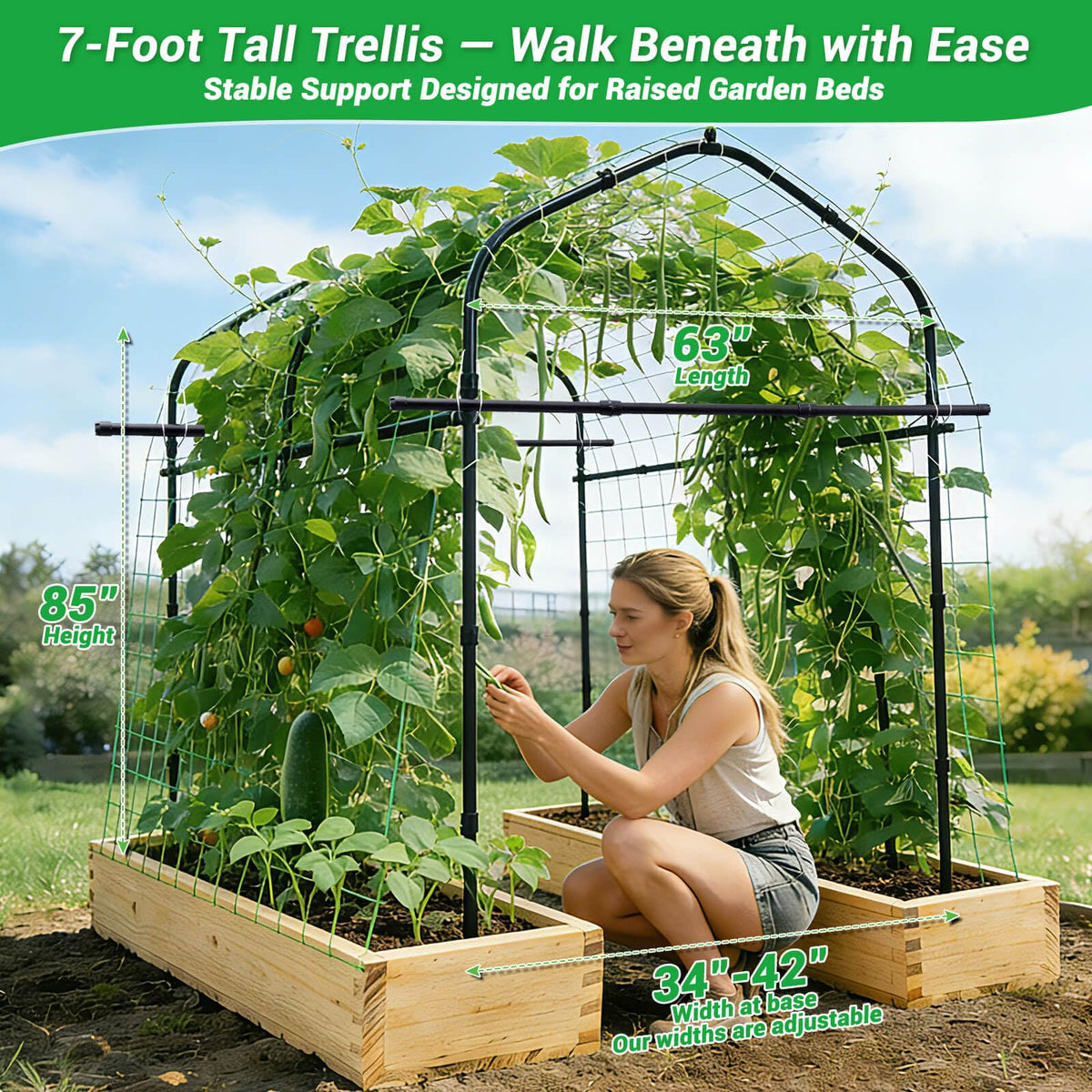 Tetutor adjustable base arch offers customizable height for versatile gardens.