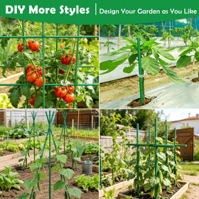 Tetutor adjustable-length stakes enable growth-stage support for tall plants