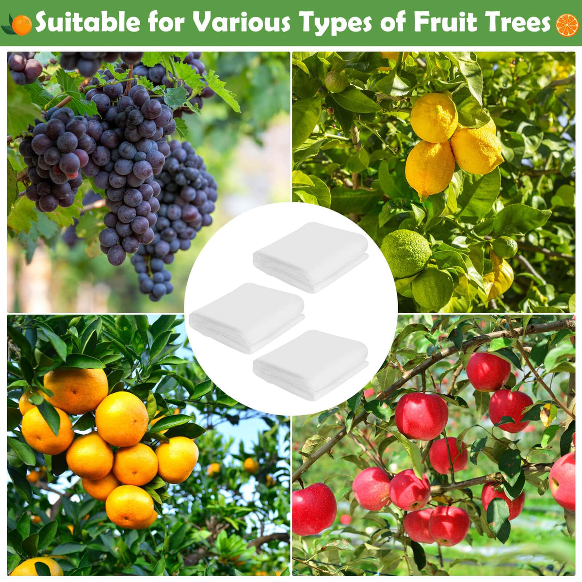Tetutor bird and insect barrier protecting garden flowers and fruit crops.