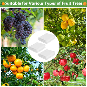 Tetutor bird and insect barrier protecting garden flowers and fruit crops.