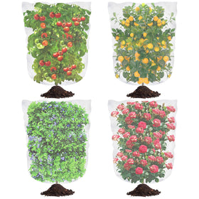 Tetutor blueberry netting cover on a bush protects ripe berries from birds.