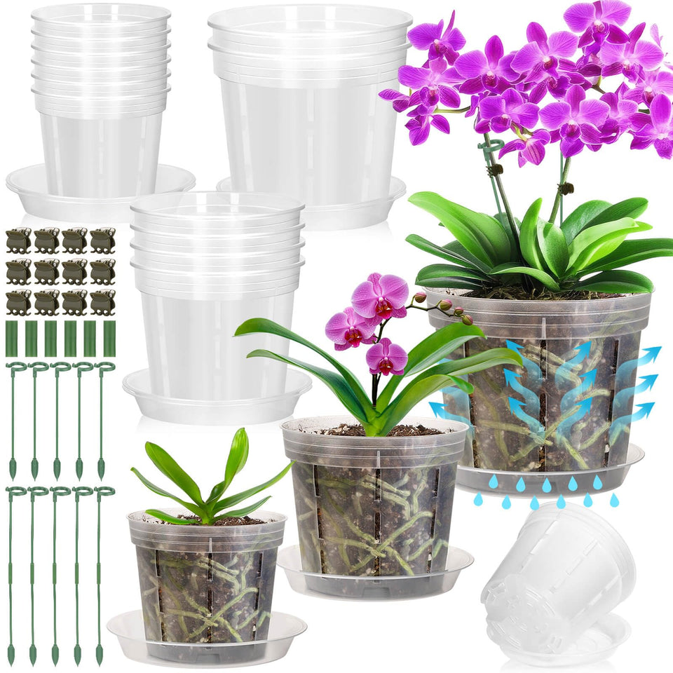 Tetutor clear orchid pot 4-inch with holes for easy repotting and drainage.