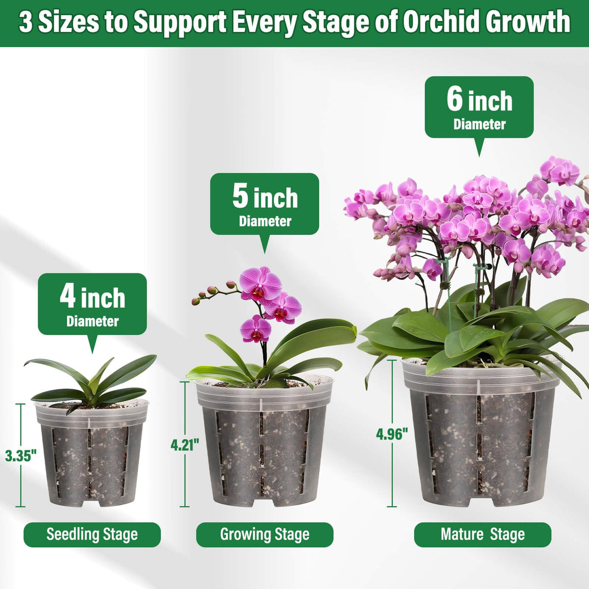 Tetutor clear orchid pot 6-inch with stakes and connectors.