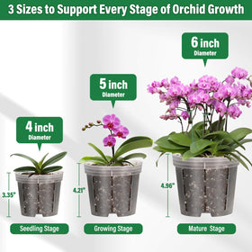 Tetutor clear orchid pot 6-inch with stakes and connectors.