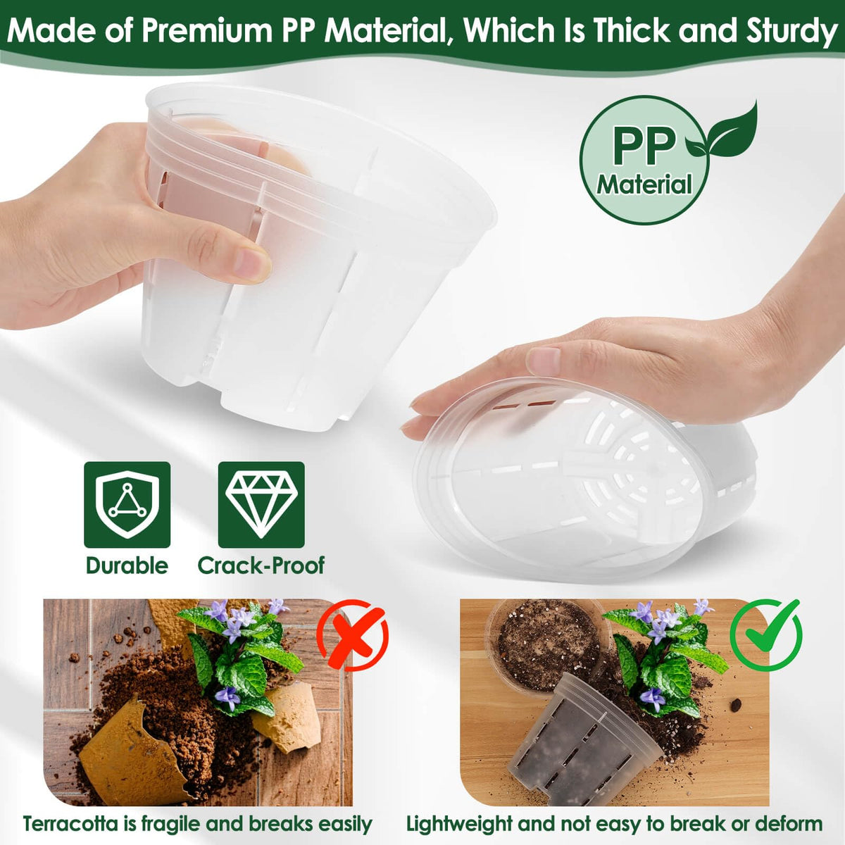 Tetutor clear orchid pot five-inch with holes supports airflow and growth