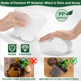 Tetutor clear orchid pot five-inch with holes supports airflow and growth