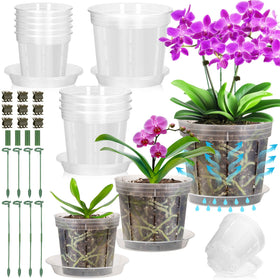 Tetutor clear orchid pot four-inch with holes for drainage and root visibility