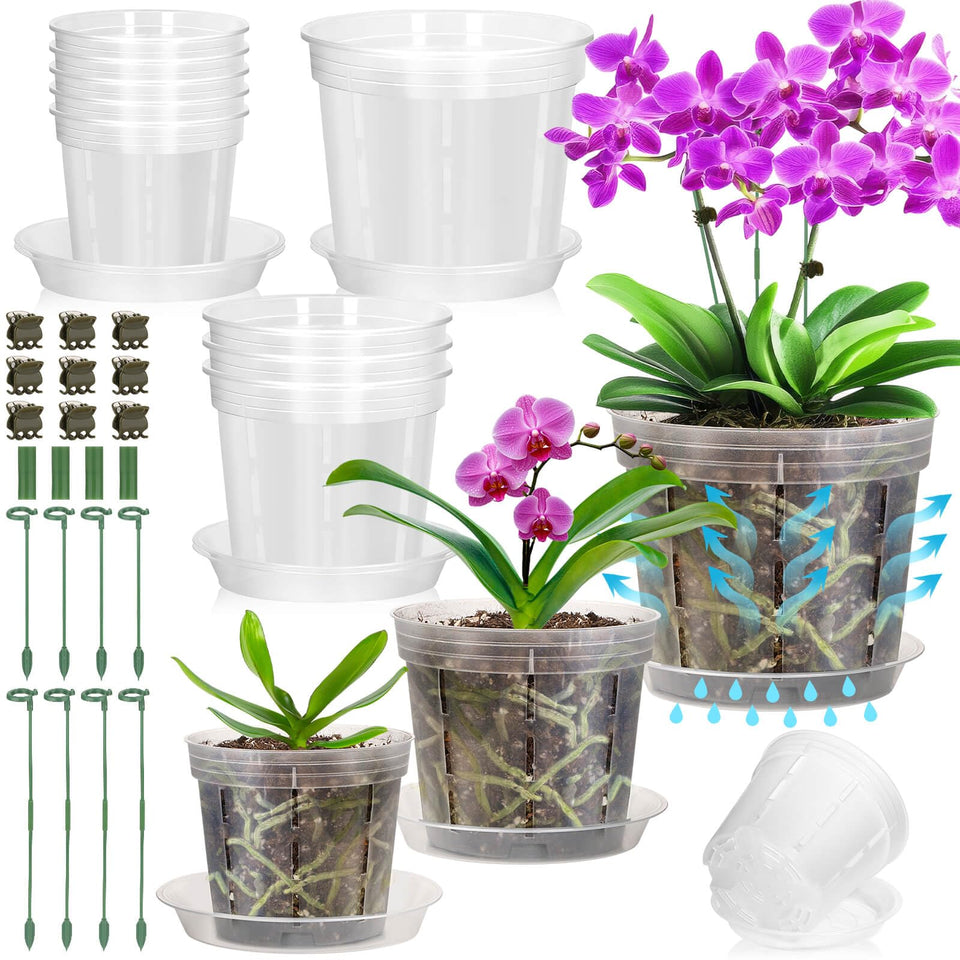 Tetutor clear orchid pot four-inch with holes for drainage and root visibility