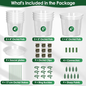 Tetutor clear orchid pot six-inch with holes promotes root health and monitoring