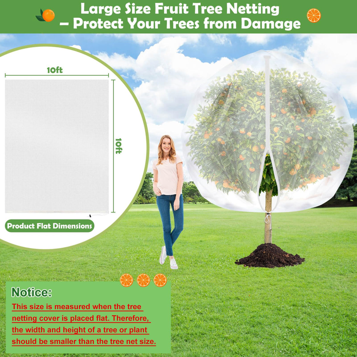 Tetutor durable lightweight netting shields fruit trees from squirrels and insects