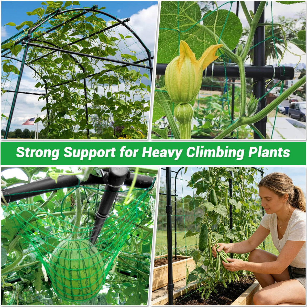 Tetutor easy assembly arch trellis saves time during setup.