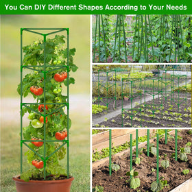 Tetutor garden-wide use supports tomatoes, cucumbers, and beans.