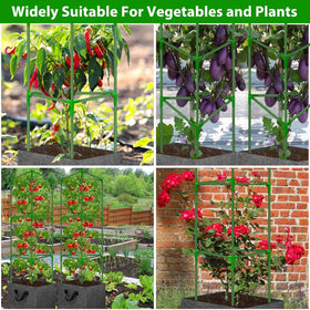 Sturdy grow bags with breathable material promote good drainage and root health.