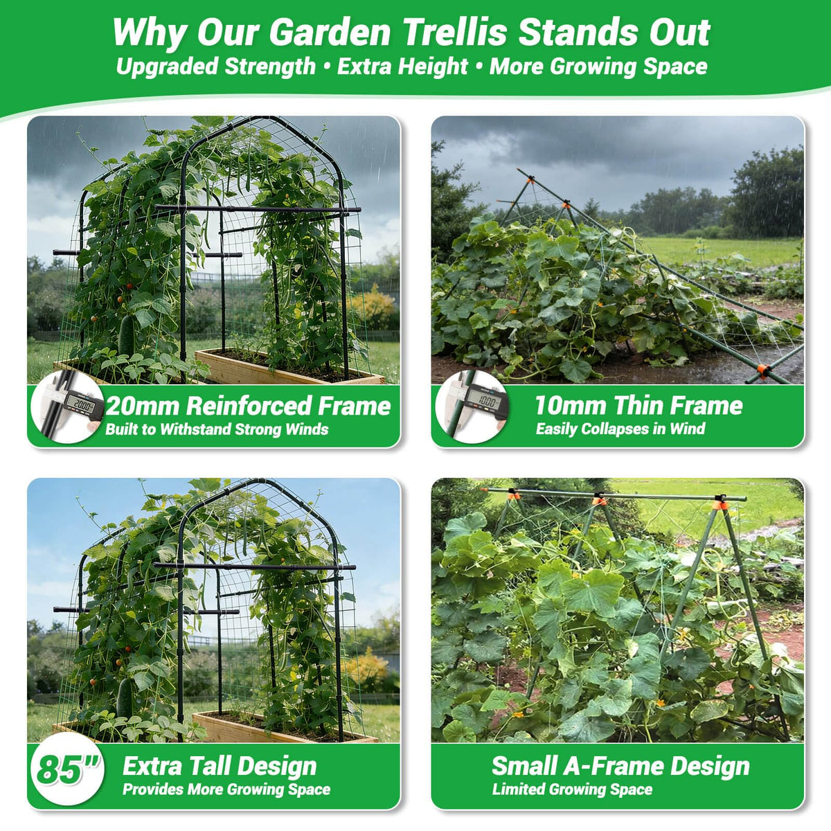 Tetutor heavy-duty 20mm steel frame resists bowing under heavy crops.