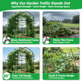 Tetutor heavy-duty 20mm steel frame resists bowing under heavy crops.